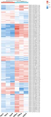 Dietary Trivalent Chromium Exposure Up-Regulates Lipid Metabolism in Coral Trout: The Evidence From Transcriptome Analysis